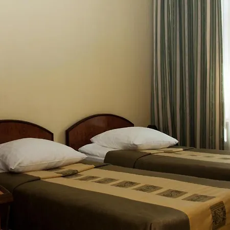 Hotel Wien